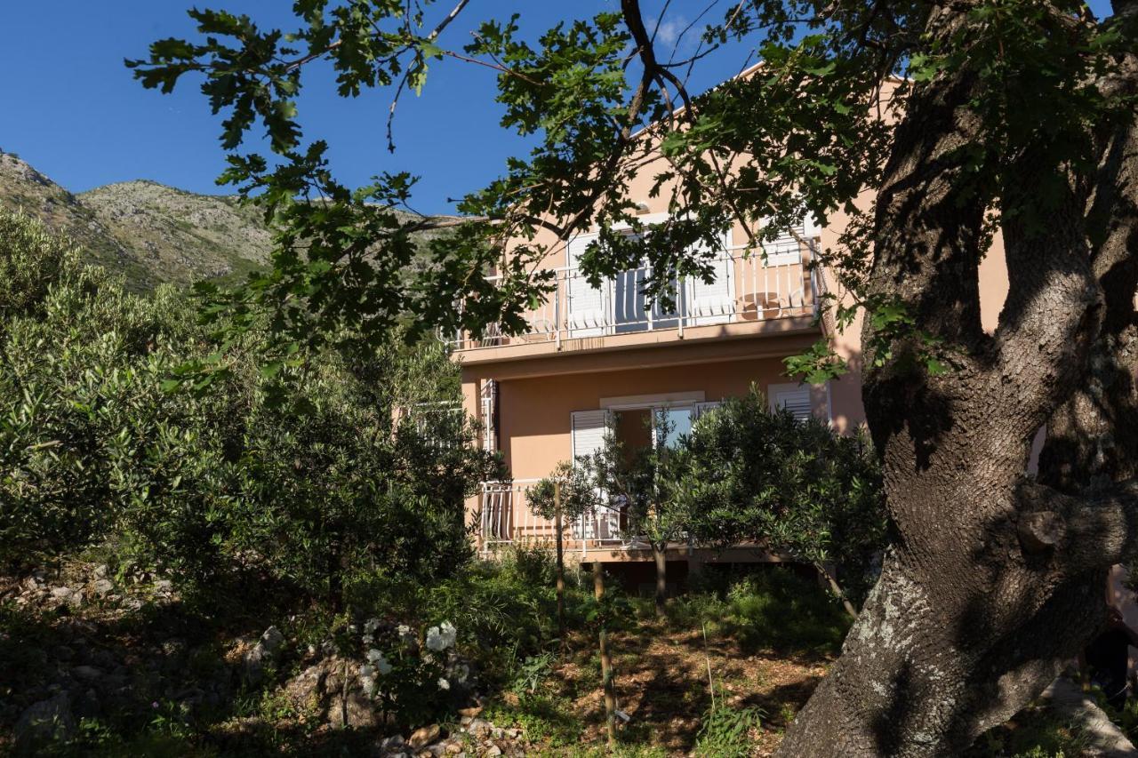 Villa Dubravka Mlini Zewnętrze zdjęcie